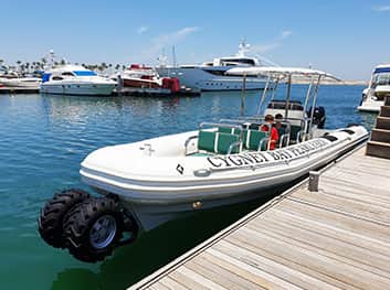 Amphibious RIB For Tour